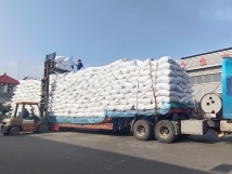 把握機遇、鉚足干勁、承勢而上