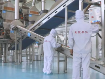 2025年的第一個月，承德亞歐果仁有限公司在山杏產(chǎn)業(yè)的道路上持續(xù)奮進，展現(xiàn)出蓬勃的發(fā)展活力。